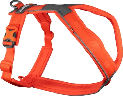 Produktbild von Non-stop dogwear LINE HARNESS 5.0 |218| Führ und Alltagsgeschirr orange, Größe:G 5
