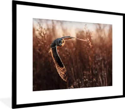 Produktbild von MuchoWow® Gerahmtes Poster Vogel - Eule - Sonnenuntergang - Natur 80x60 cm - Poster mit Schwarzem Bilderrahmen Wandposter Rahmen Foto Bilder - Schlafzimmer-Dekorationen - Fotoposter