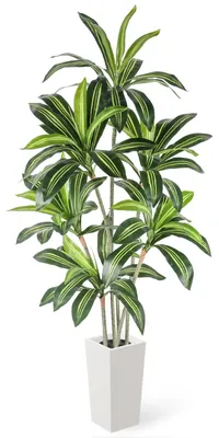 Produktbild von Künstlicher Drachenbaum, 180 cm, große künstliche Pflanze im weißen Topf, künstlicher Baum, Plastikpflanze, realistische Dracaena für Wohnzimmer, Büro, Garten, Inneneinrichtung, Einzugsgeschenk