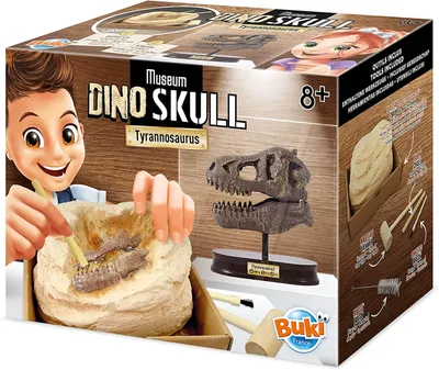 Obrázok produktu pre Buki Museum Dino Skull Tyrannosaurus, sada na pokusy, paleontológia, 8 rok / roky, Viacfarebný