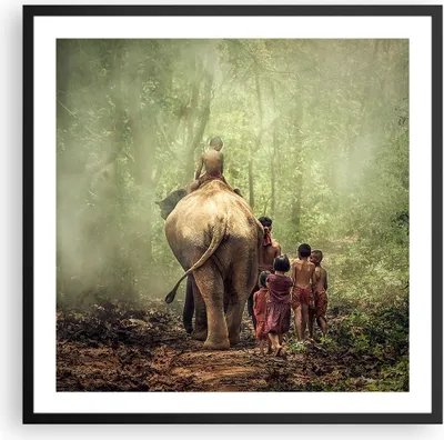 Produktbild von Gerahmtes Poster - Schwarzer Rahmen - Elefant Dschungel Nebel - 60x60 cm - Wand Bild - Wanddeko - Wandbilder - Wandposter - Bilderrahmen - Bilder - Kunstdruck - Wandbild - P2BAC60x60-3438