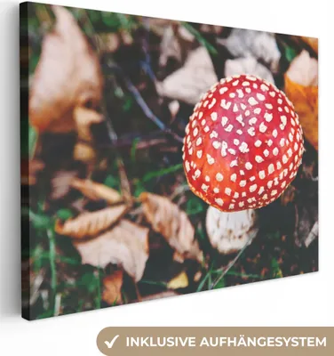 Produktbild von MuchoWow® - Leinwandbilder - Herbst - Pilz - Blätter - Natur, Wandbild, Wanddeko Bilder Wohnzimmer, 80x60 cm