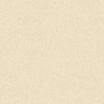 Produktbild von A.S. Creation AP Longlife Colours | 301406 | Vliestapete Einfarbig | 1.06 m x 21 m | Beige