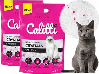Produktbild von Silikon Katzenstreu 2x3,8L - Antimikrobiell und staubfrei.