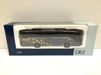 Produktbild von Rietze Reisebus Setra S 515 HD Omnibus Metzner, Bamberg 77912