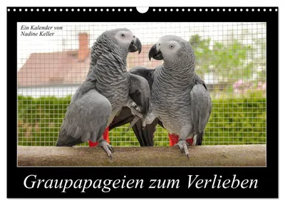 Produktbild von Graupapageien zum Verlieben (Wandkalender 2027 DIN A3 quer), CALVENDO Monatskalender