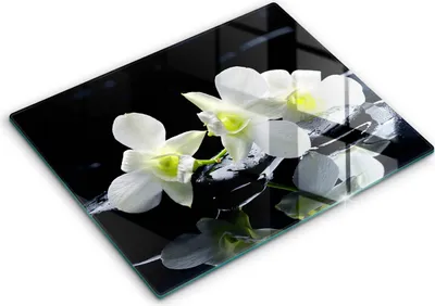 Obrázok produktu pre Sklenený kuchynský backsplash - Sklenený kuchynský backsplash - 52x40 cm - Sporák Kuchynský Splashback - Biele kvety v zenovej vode