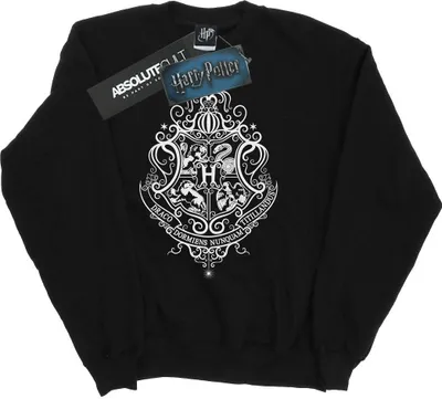 Produktbild von Harry Potter - "Hogwarts Draco Dormiens" Sweatshirt für Herren BI27580 (S) (Schwarz)
