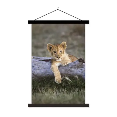 Produktbild von MuchoWow® Textilposter Jungtier - Tier - Natur 60x90 cm mit schwarzem Rahmen - Poster Wohnzimmer