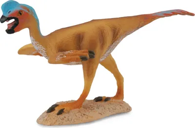 Zdjęcie produktu dla Dinozaur Owiraptor M