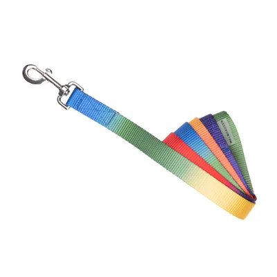 Image de Longe de présentation arc-en-ciel néon multicolore