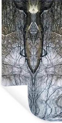 Obrázok produktu pre MuchoWow® Nálepka na stenu - Strom - Umenie - Psychedelické - 60x120cm - Samolepiaca a polohovateľná