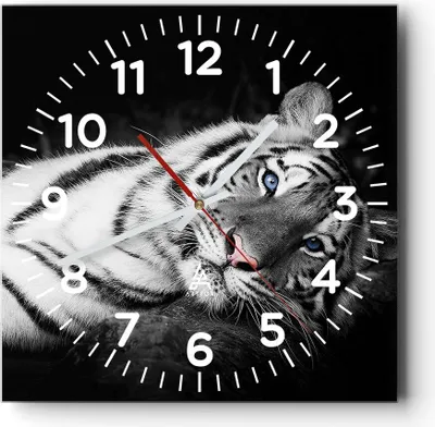 Produktbild von Wanduhr - Quadrat - Glasuhr - Weiß Tiger Schwarz und Weiß - 30x30cm - Schleichendes Uhrwerk - Lautlos - zum Aufhängen bereit - Dekoration Modern - Wanddekoration aus Glas - C4AC30x30-4247