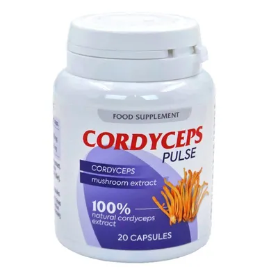 Produktbild von Cordyceps Pulse