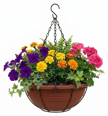 Produktbild von Plastard Blumenampel Ø 40 cm mit Metallkorb Terrakotta Blumenschale hängend
