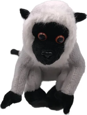 Produktbild von Onwomania Plüschtier Kuscheltier Stoff Tier Affe Grüne Meerkatze grau 23 cm