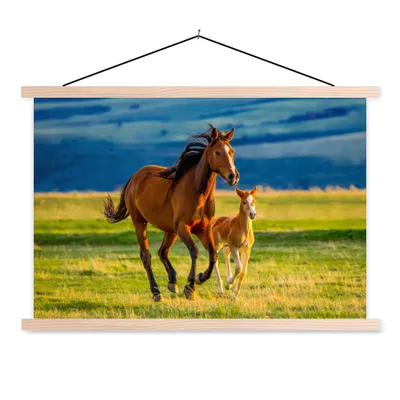 Produktbild von MuchoWow® Textilposter Pferde - Gras - Tiere - Landschaft - Natur 120x80 cm mit holzfarbenen Rahmen - Aufhängeset