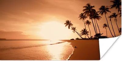 Produktbild von MuchoWow® Poster Sonnenuntergang - Tropisch - Palme - Strand - Meer 150x75 cm - ohne Rahmen