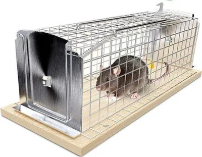 Produktbild von Famanu Lebendfalle für Mäuse und Ratten - Wiederverwendbar und zuverlässig