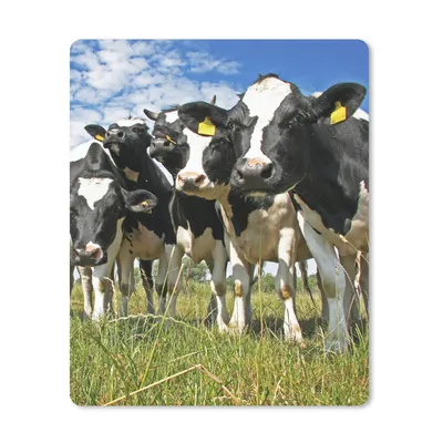 Produktbild von MuchoWow® Mauspad Mousepad Kühe - Gras - Wiese - Tiere 30x40 cm - Mousepads - Maus Mat - Pad - Mausunterlage - Mausmatten
