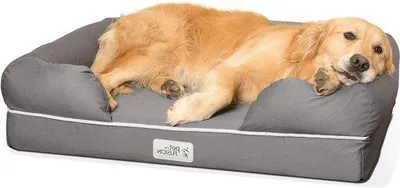 Produktbild von Famanu Hundebett Memory Foam - komfortabel - geeignet für mittelgroße und große Hunde - grau - 91x71 cm