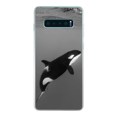 Produktbild von MuchoWow® Handyhülle Schutzhülle Hülle für Samsung Galaxy S10 Plus Orca - Wasser - Tiere Silikon Softcase Handy Hülle - Schutzhülle