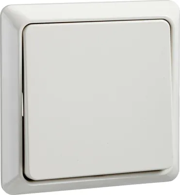 Immagine prodotto di Interruttore universale Elso pw 251600