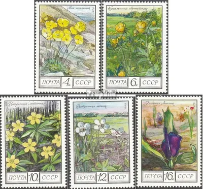 Produktbild von Briefmarken Sowjetunion 1975 Mi 4428-4432 (kompl.Ausg.) gestempelt Blumen