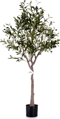 Produktbild von Deko-Pflanze 73 x 120 x 73 cm grüner Kunststoff-Olivenbaum