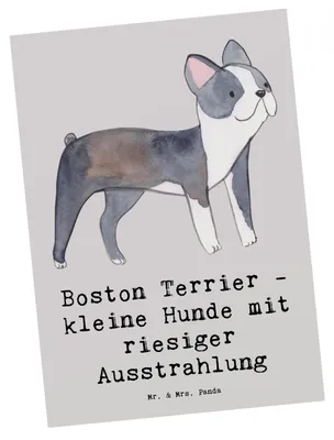 Produktbild von Mr. & Mrs. Panda Postkarte Boston Terrier - Grau Pastell - Geschenk, Sonnenschein, Hund, kleine Hunde, einzelkarte, Hunderasse, Grußkarte, wunderbare Begleiter, Eleganz