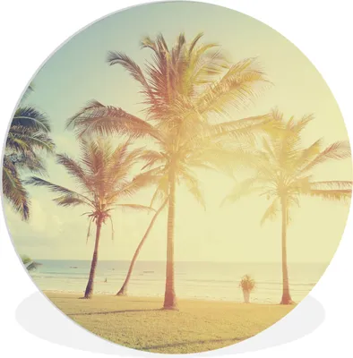 Produktbild von MuchoWow® Rundes Wandbild - Runde Bilder Meer - Palme - Sommer - Sonne - Strand Ø 60 cm Kreis Wanddekoration Kunststoff - Wandkreis - Wandschmuck - Wand Kreis - Das Schlafzimmer - Die Bilder - Wandmalerei - Kunst für das Haus - das Plastik