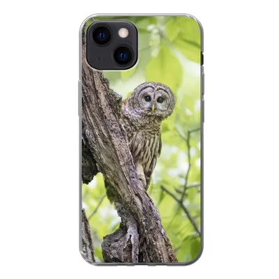 Produktbild von MuchoWow® Handyhülle Schutzhülle Hülle für iPhone 13 mini Eule - Wald - Licht Silikon Softcase Handy Hülle - Softcase