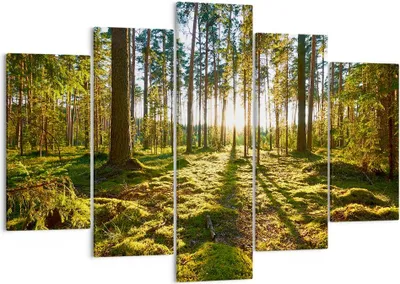 Produktbild von Bild auf Leinwand - Leinwandbild - Wald Baum Natur - 150x100cm - Wand Bild - Wanddeko - Wandbilder - Leinwanddruck - Bilder - Kunstdruck - Wanddekoration - Leinwand bilder - Wandkunst - EA150x100-3724