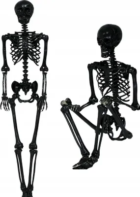 Produktbild von Halloween Party Dekoration Schwarze Menschliche Skelettknochen 90cm