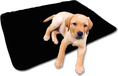 Zdjęcie produktu dla Koc dla zwierząt z wełny jagnięcej, wymiary: 70x100 cm czarny - jet black