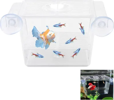 Produktbild von Mini-Inkubator-Aquarium mit Saugnäpfen zur Aufzucht von Jungfischen, Guppys und Kampffischen
