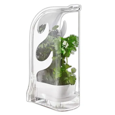 Produktbild von Kräuter Frischhaltebox Kunststoff Schnittkräuterbox Kräutercontainer Kräuterbox Küche Kräuterdose Kräuteraufbewahrung Kühlschrank
