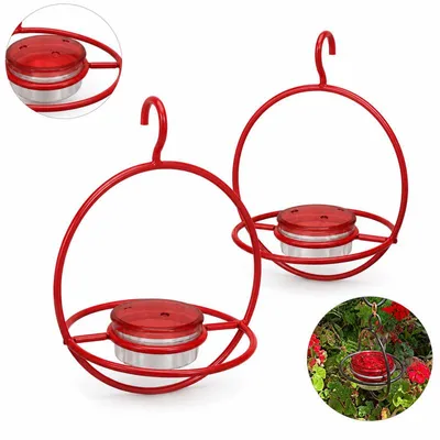 Produktbild von Kolibri Futterspender Set für Garten und Balkon, Dekorative Glas Vogelfutterstation mit Sitzplatz für Wildvögel im Außenbereich