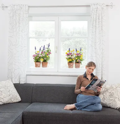Produktbild von Komar Window-Sticker "Springtime", bunt, 31 x 31 cm
