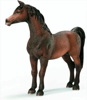 Image de Schleich 13629 - Étalon arabe