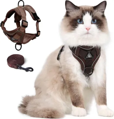Katzengeschirr mit Leine, verstellbar, atmungsaktiv, Größe L, reflektierend