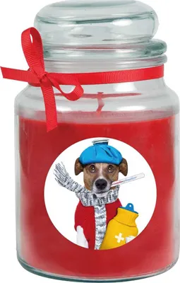 Produktbild von Duftkerze im Bonbonglas "Gute Besserung", Duft: Rose ( Rot ), 500g - Brenndauer bis zu 110 Stunden