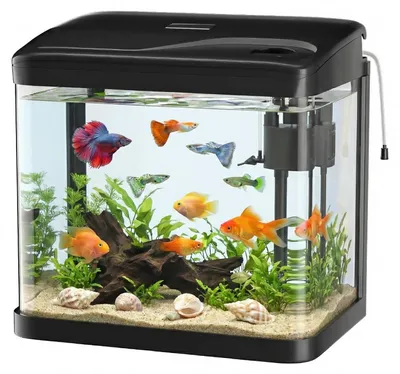 Aquariumset 10 L mit LED-Beleuchtung und Filtersystem, schwarz