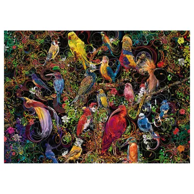Image de RAVENSBURGER Casse-tête Oiseaux dans l'art 1000 pièces
