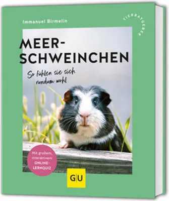 Produktbild von Meerschweinchen