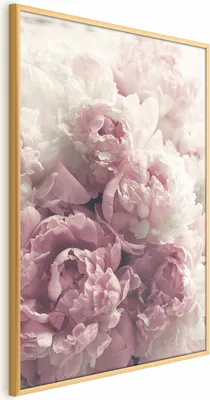 Produktbild von Posterpapier Poster - Delicate Peonies 60x90 cm Blumen b-B-0467-ao-a