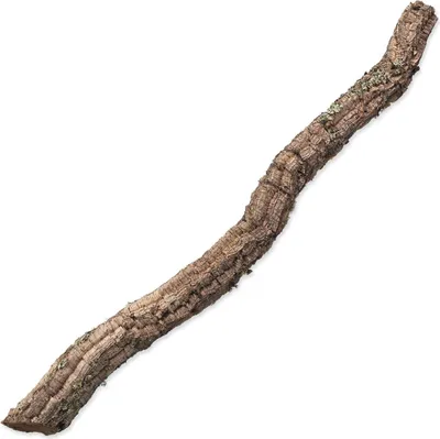 Image de Décoration Repti Planet Branche en liège XL 90cm-120cm