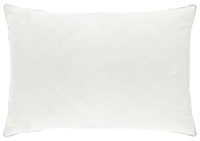 Image de Oreiller FULDA, 50 x 70 cm, 100% duvet et plumes d'oie, blanc