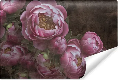 Produktbild von Muralo Selbstklebende Fototapete Für Esszimmer BLUMEN Pfingstrosen Beton Retro Br. 315cm x Hö. 210cm