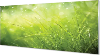 Produktbild von Glasbilder 125x50 Wandkunst Gras Tautropfen